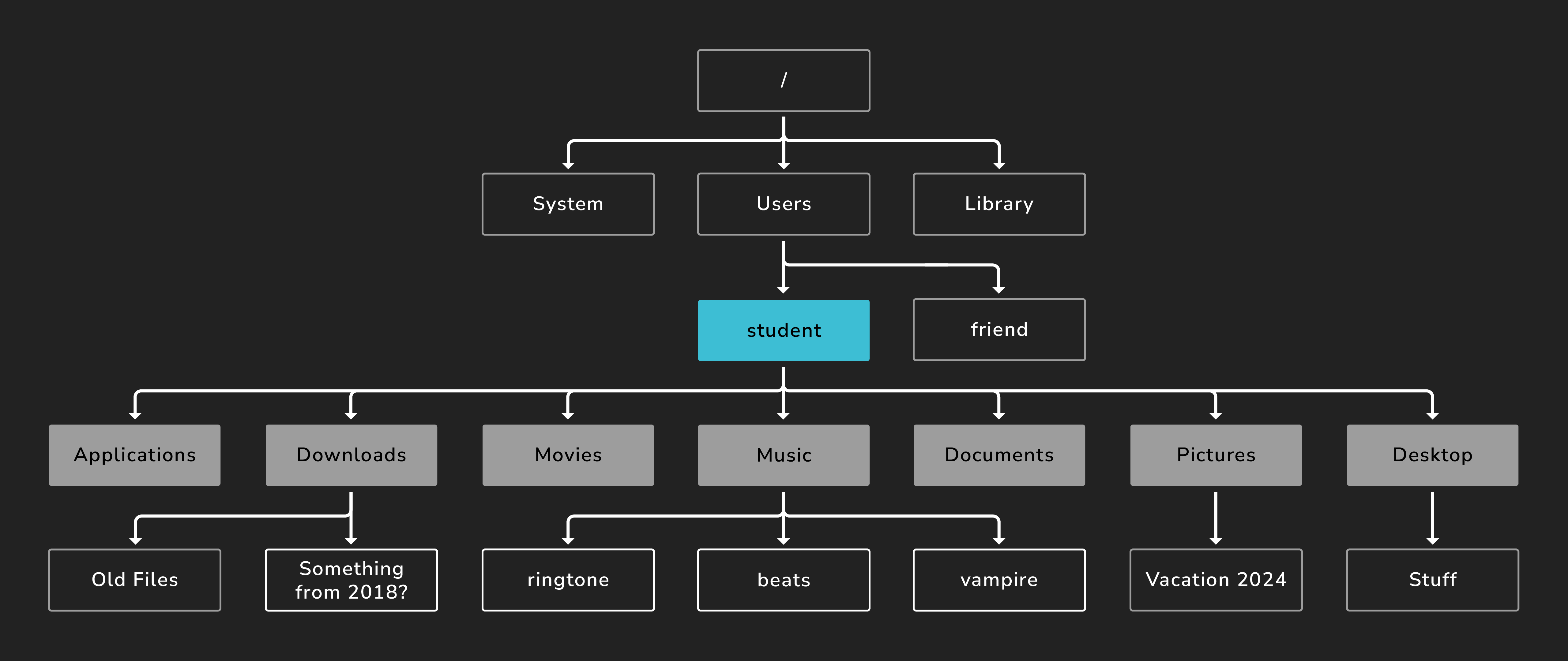 Intro to the CLI